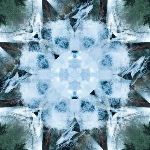 白丝校🌸让我爽一天在线观看
