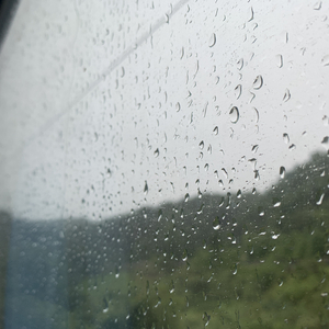 白丝校🌸让我爽一天在线观看
